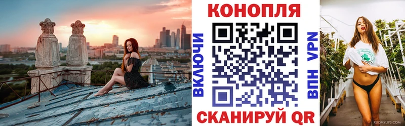 Наркота Петрозаводск Канабис ГАШ