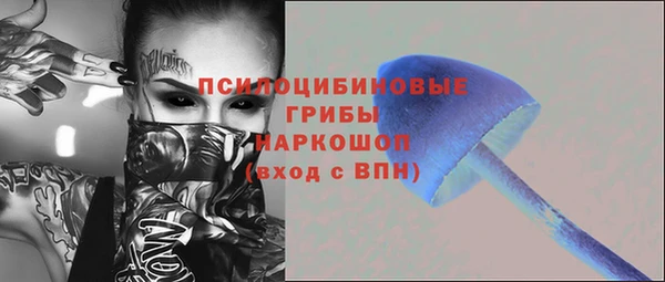 мяу мяу мука Тайга