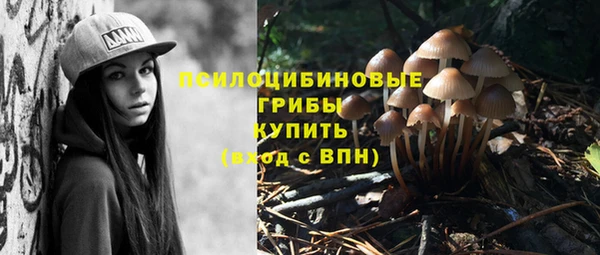 тгк Тихвин
